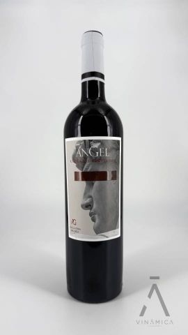 Angel Cabernet 2019