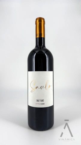 Dalt Turó SAULÓ 2019