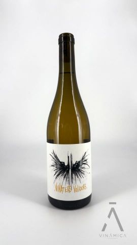 FENTVI Vinaters Voladors Blanc 2024