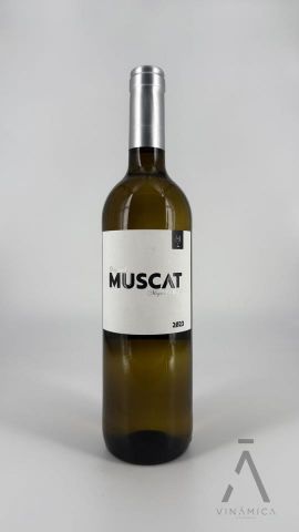 M. Oliver Muscat 2023