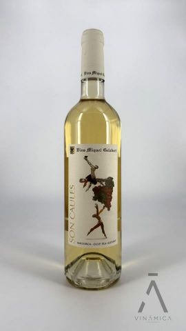 Miquel Gelabert Vinya Son Caules Blanc 2024