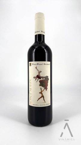 Miquel Gelabert Vinya Son Caules Negre 2019