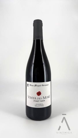 Miquel Gelabert Vinya De's Moré 2021/22