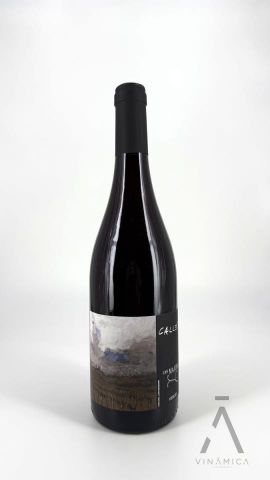 Can Majoral Callet 2021 MAGNUM 
