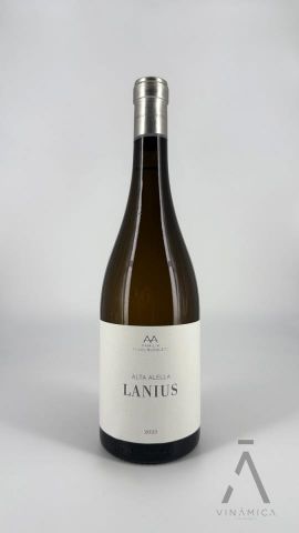 Lanius 2017/23