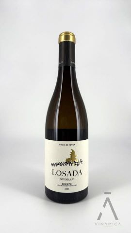 Losada Godello 2023/24