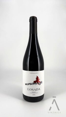 Losada 2021/22 MAGNUM 