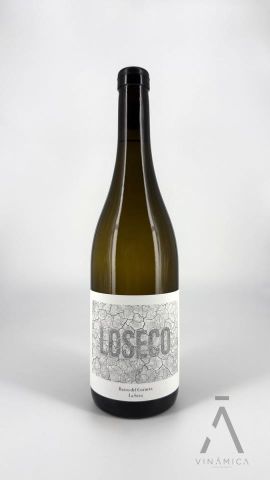 Loseco 2025