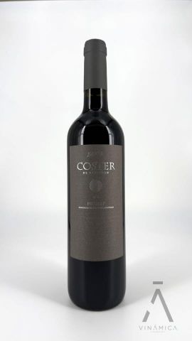 Costers de Carignan 2013