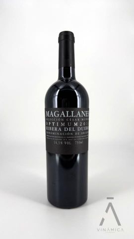 Magallanes Optimum 2014/16