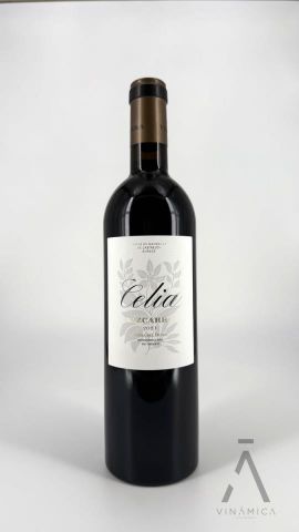 Celia Vizcarra 2018 MAGNUM