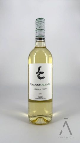 Lorenzo Cachazo 2024