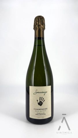 Delouvin Nowack Sauvage 