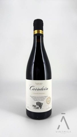 Pardevalles Carroleon P. Picudo 2018/22