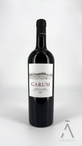 Luis Pérez GARUM 2022/23