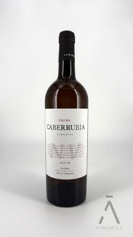 Luis Pérez Fino Caberrubia Saca VII / IX
