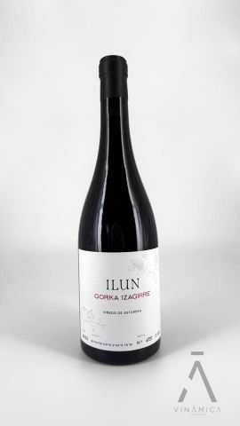 Gorka Izagirre Txakoli tinto ILUN 2021/23